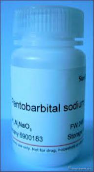 legitimate vendor of Nembutal Pentobarbital Sodium without p