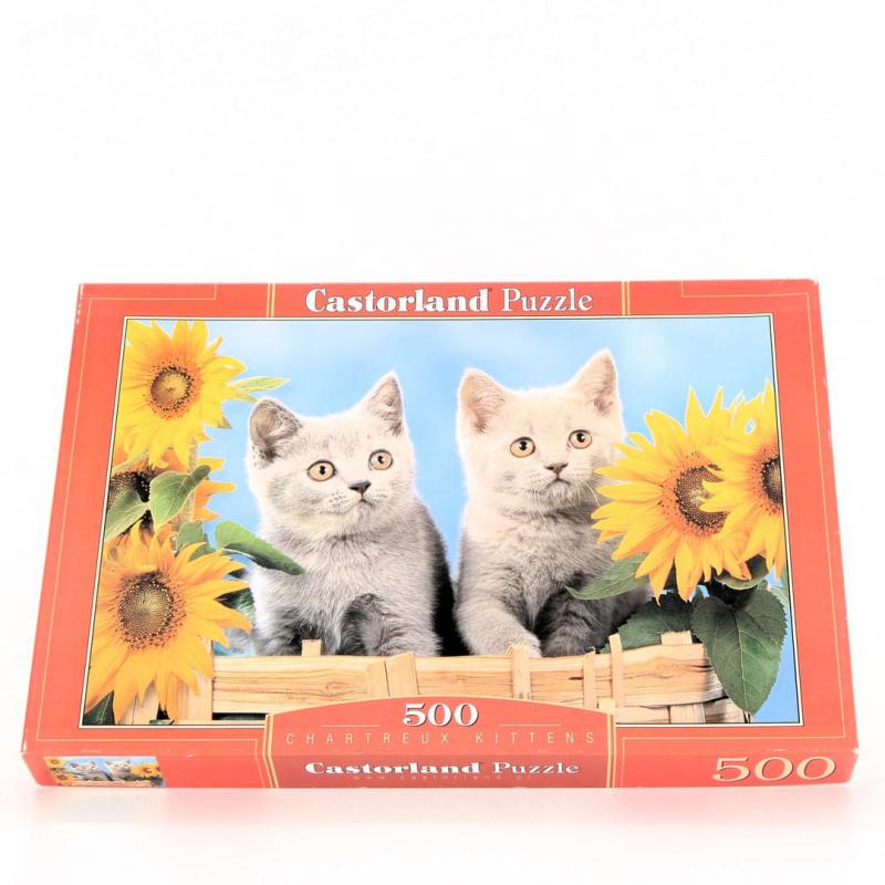 Puzzle Castorland